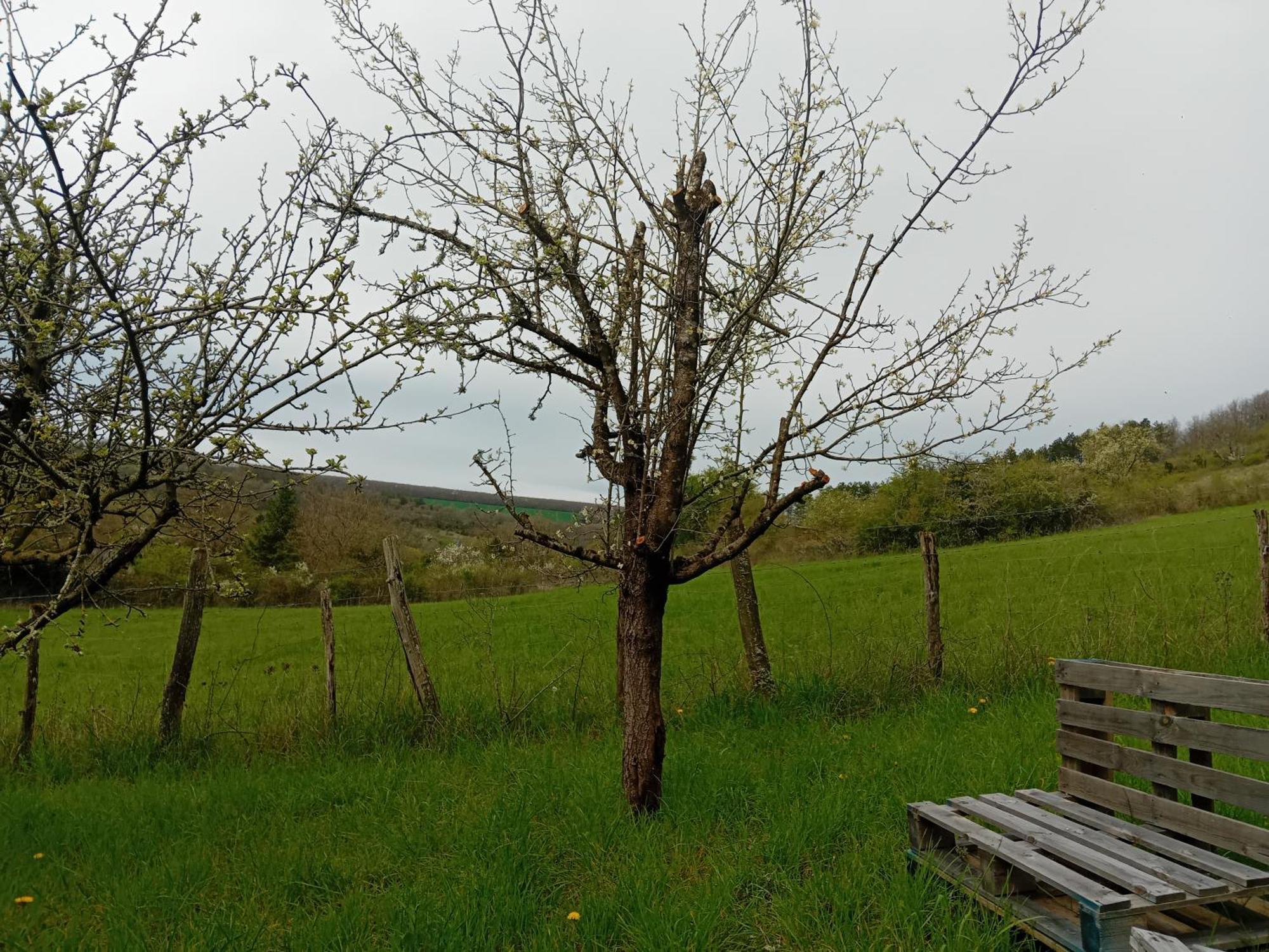 Campingfiz Varzy Bagian luar foto